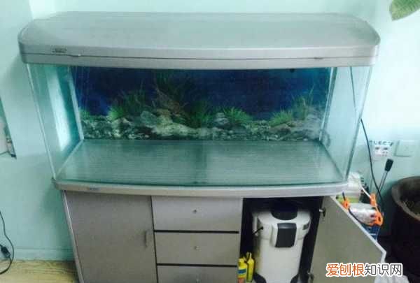 鱼缸干湿分离是什么意思