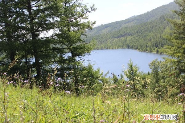 阿尔山自驾游(哈尔滨阿尔山自驾游)