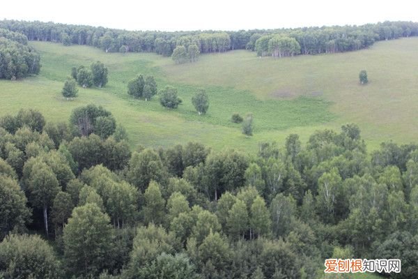阿尔山自驾游(哈尔滨阿尔山自驾游)