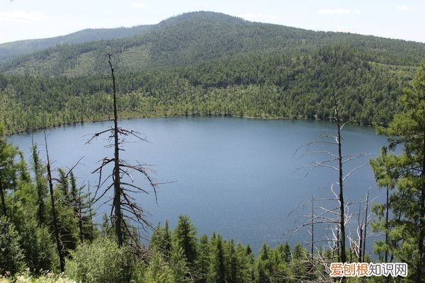 阿尔山自驾游(哈尔滨阿尔山自驾游)