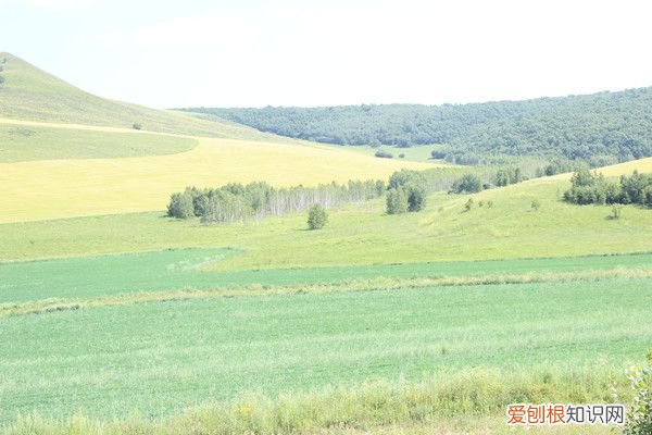 阿尔山自驾游(哈尔滨阿尔山自驾游)