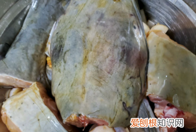 怎么炖清江鱼好吃，炖清江鱼的家常做法