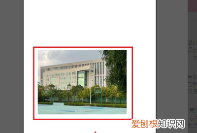 ai怎么才能裁剪，ai裁剪工具怎么自由裁剪图片