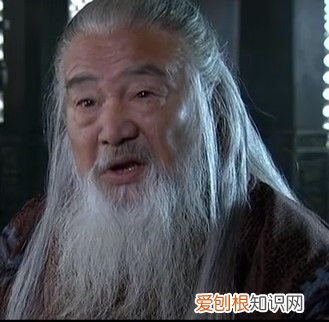 袁术旁边那个白胡子谋士是谁？ 袁术谋士