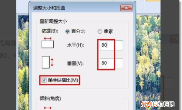 如何使用画图工具调整大小，怎么用画图工具调整照片尺寸40kb