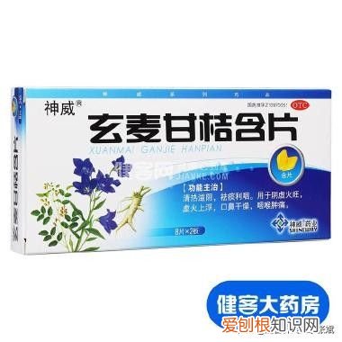用于治疗咽炎的十二种中成药 咽炎吃什么药好