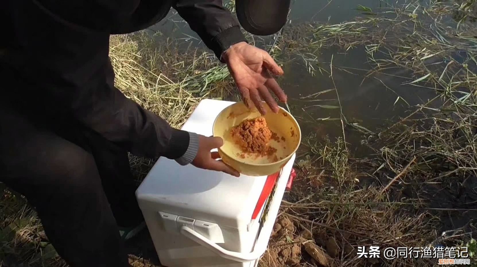 如何钓鲤鱼？五个技巧送给你 怎样钓鲤鱼?