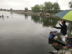 如何钓鲤鱼？五个技巧送给你 怎样钓鲤鱼?