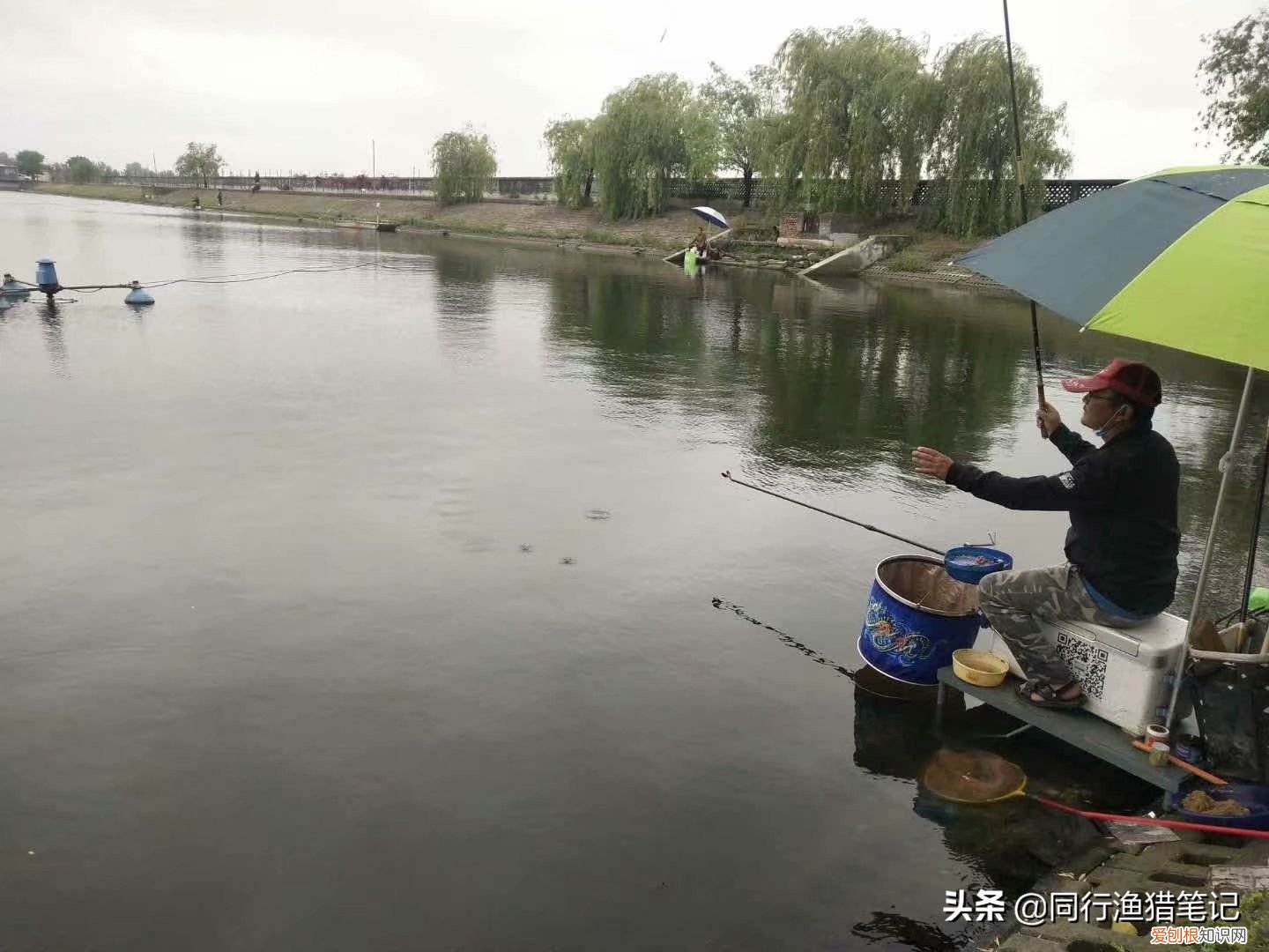 如何钓鲤鱼？五个技巧送给你 怎样钓鲤鱼?