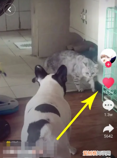 抖音里喜欢的作品该要怎样才可以删除