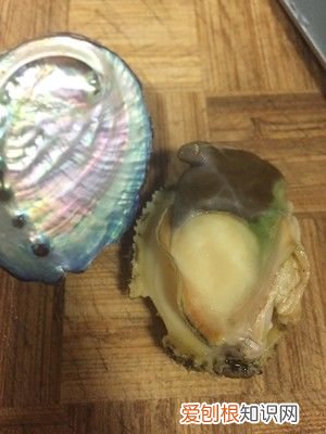 手把手教你巧洗鲍鱼呢 鲍鱼的清洗方法