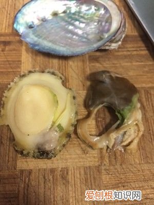 手把手教你巧洗鲍鱼呢 鲍鱼的清洗方法