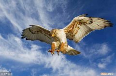 10个激励员工的小故事 激励小故事