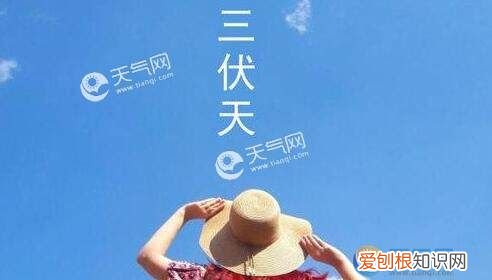 三伏天后是什么节气