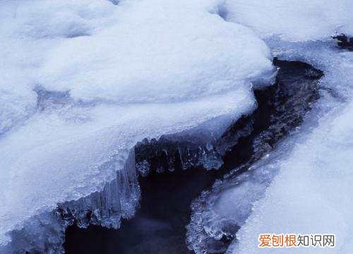 冬天水里加什么可以防冻