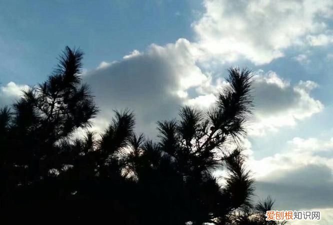 云舒的寓意是什么,淡看风云什么意思