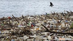 塑料在自然界可停留多长时间，为什么塑料被认为环境一大问题