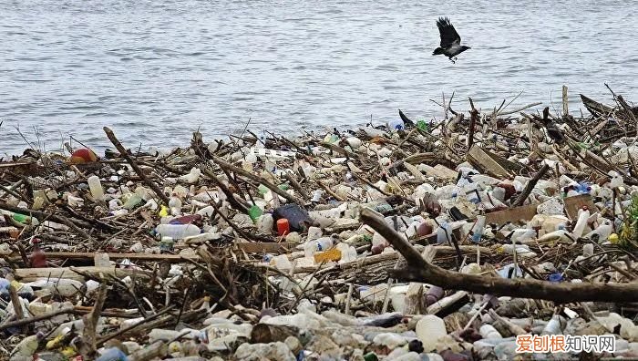 塑料在自然界可停留多长时间，为什么塑料被认为环境一大问题