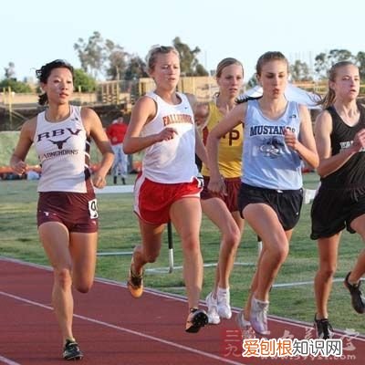 3分钟剖析中东呼吸综合症 中东呼吸综合症