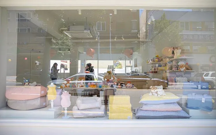 新手小白如何开好一家宠物店？ 如何开宠物店