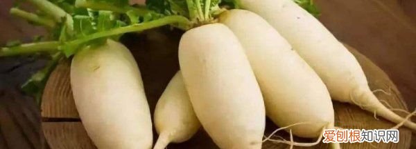 楼房怎样储存大萝卜，城市家庭怎样储存萝卜保住水分
