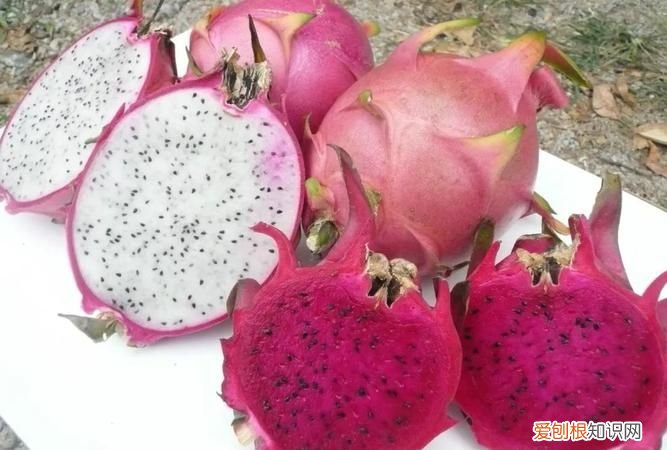 火龙果和红心火龙果的区别,红火龙果和白火龙果区别功效