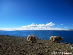 去一次西藏要多少钱？ 去西藏旅游费用多少钱