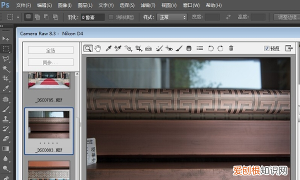 nef格式的照片怎样进行打开，nef是什么格式的文件怎么打开