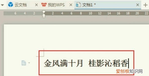 wps怎么添加下划线，WPS空白处怎么加下划线