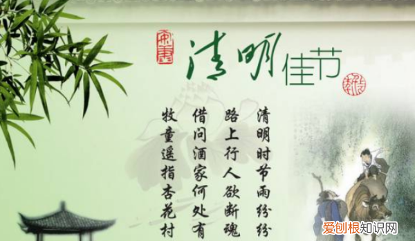 清明节的特点是什么