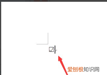 怎样输入方框里打对号，对号可以怎样输入到方框中