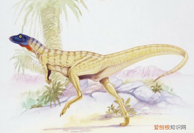 关于恐龙你可能不知道的事实 有关恐龙的资料