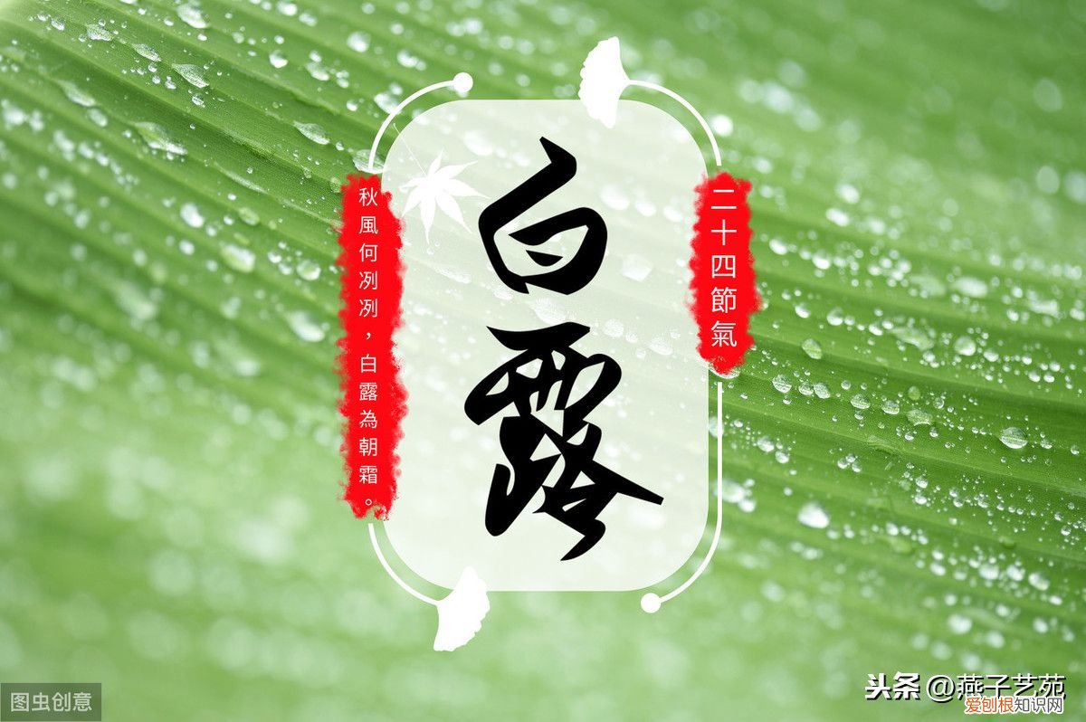 七绝《己亥白露节令寄怀》十二首 白露七言绝句