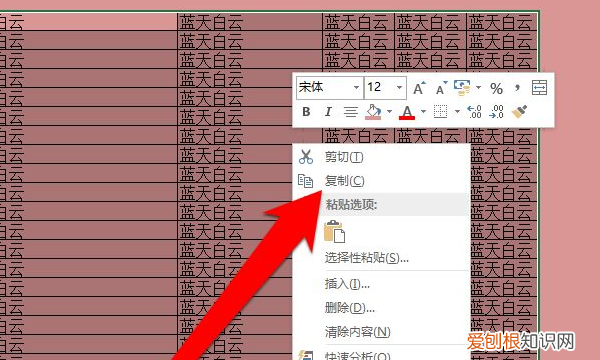excel文件应该咋复制表格保持原有样式