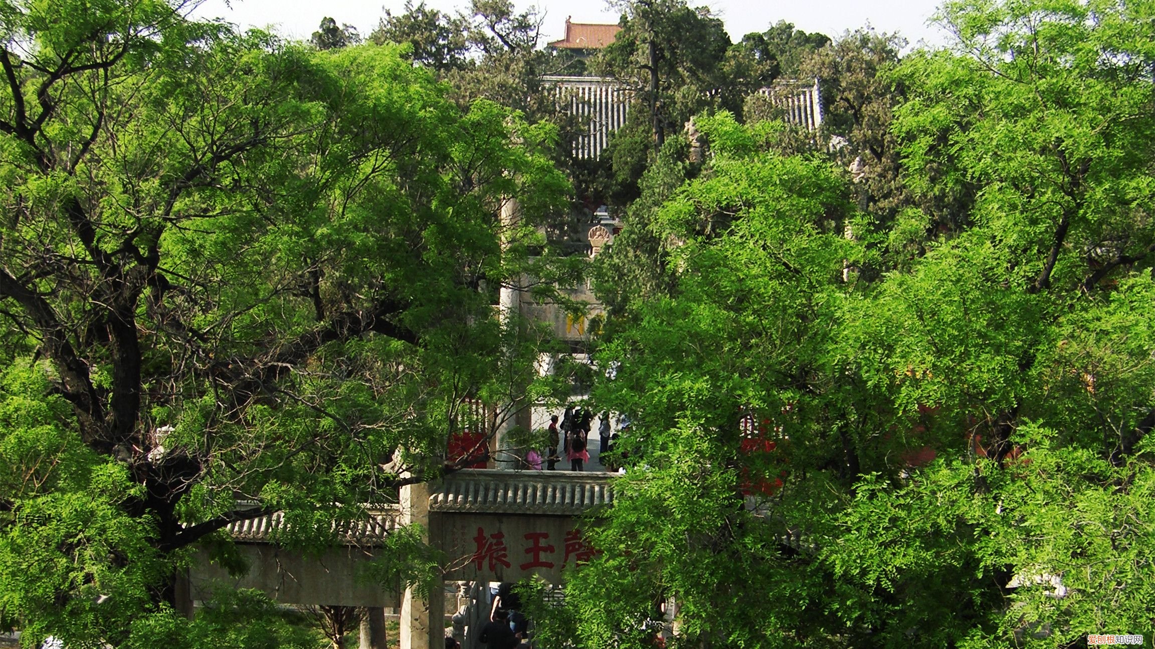 2021孔庙简介 孔庙简介