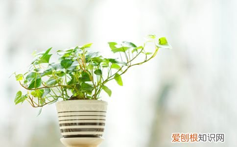 天气潮湿怎么办 潮湿怎么办