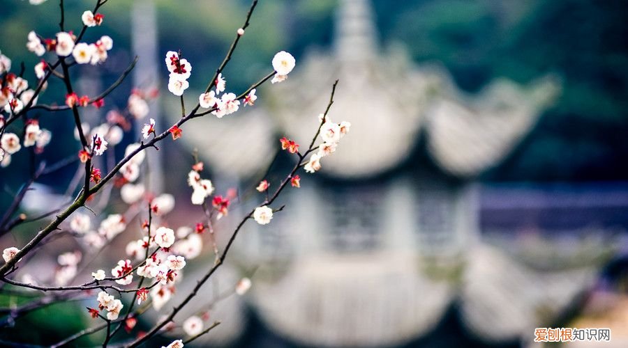 十首经典现代诗 经典现代诗歌