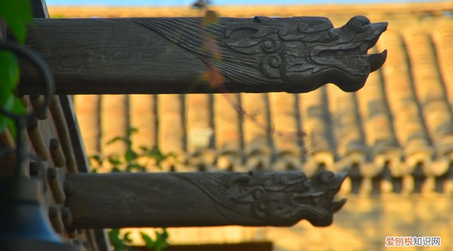 十首经典现代诗 经典现代诗歌