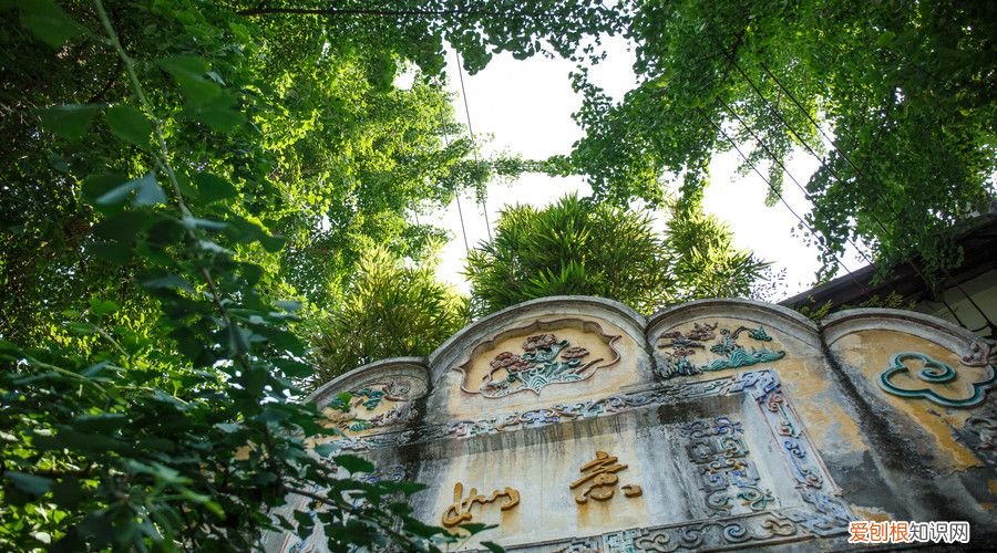 十首经典现代诗 经典现代诗歌