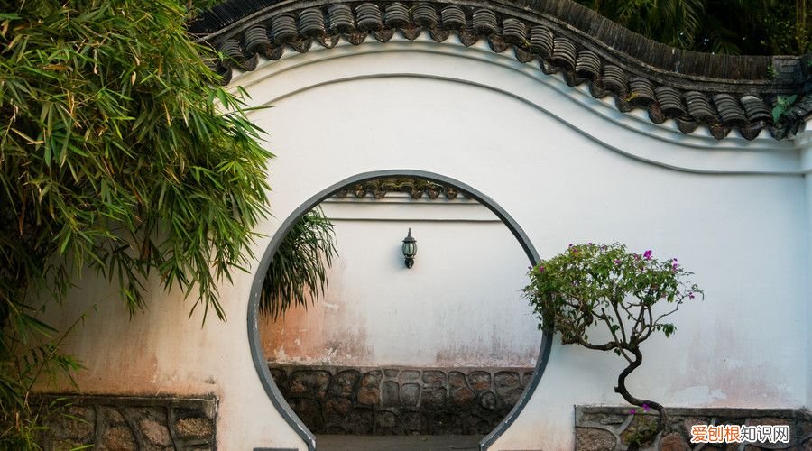 十首经典现代诗 经典现代诗歌