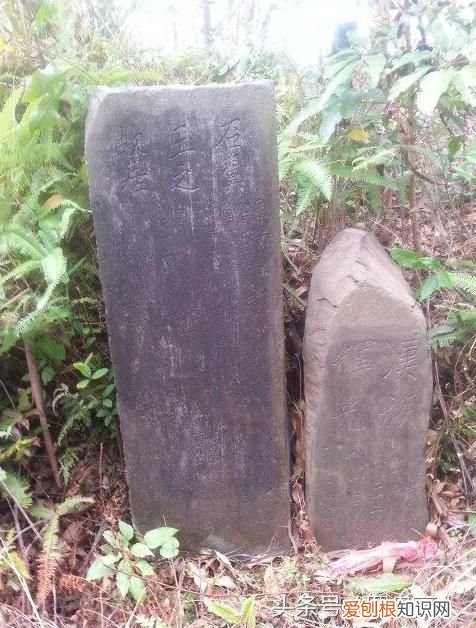 太平天国翼王石达开的后裔 石达开后人