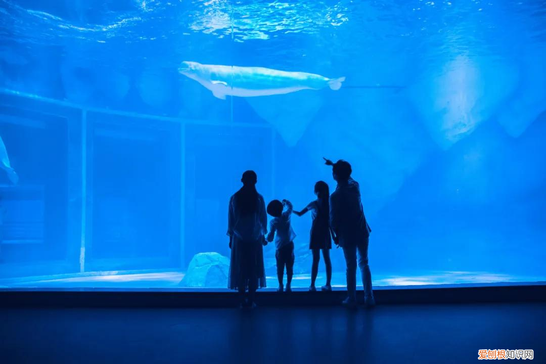 我的童年作文 我的童年作文500字