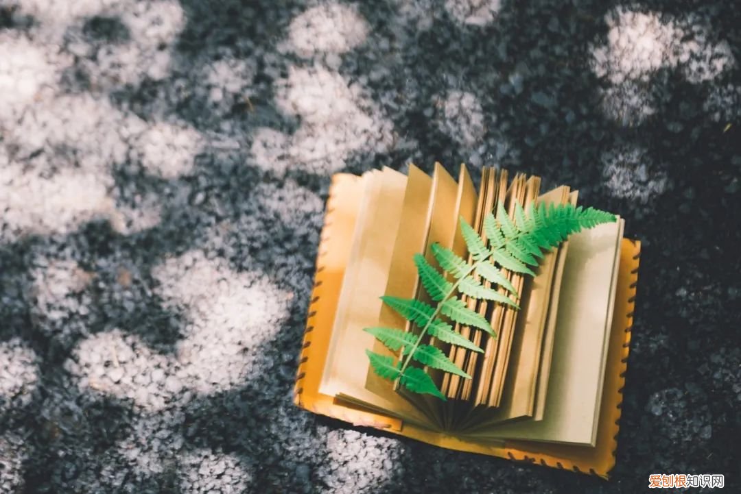 任芸芸 | 修合无人见，存心有天知 修合无人见 存心有天知