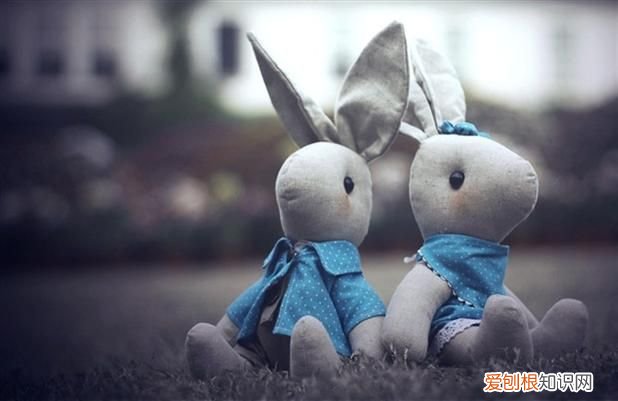 属兔人的婚姻配对 属兔的属相婚配表