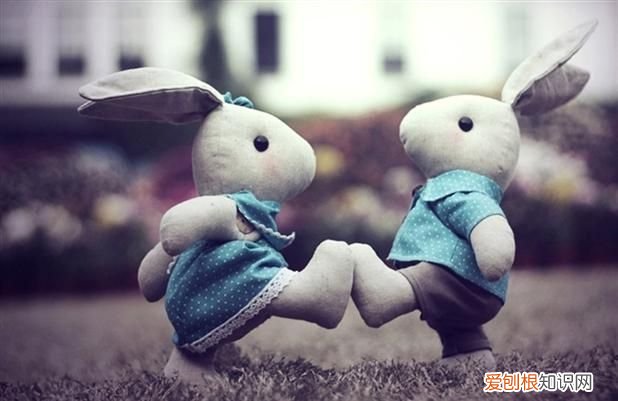 属兔人的婚姻配对 属兔的属相婚配表