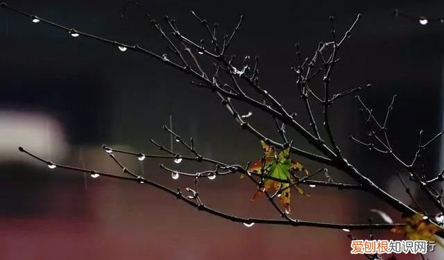 十五首写秋天的古诗 描写秋天景色的诗