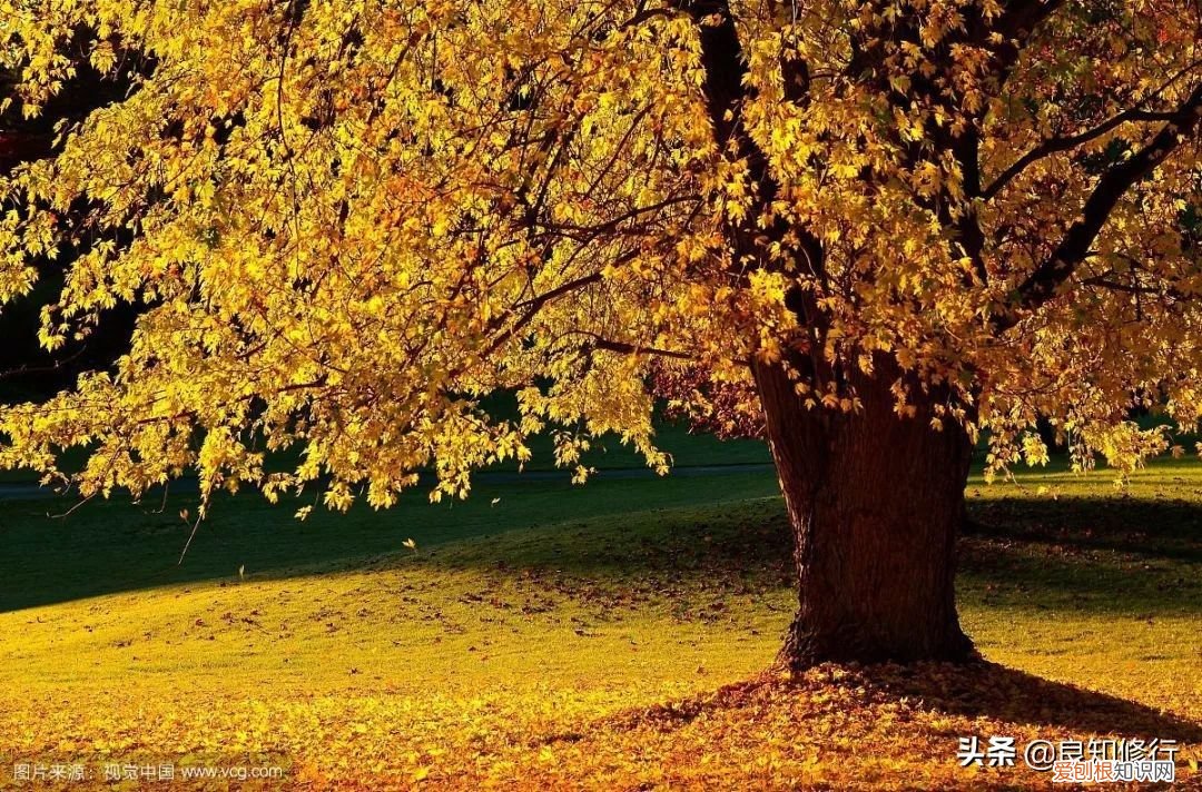 十五首写秋天的古诗 描写秋天景色的诗