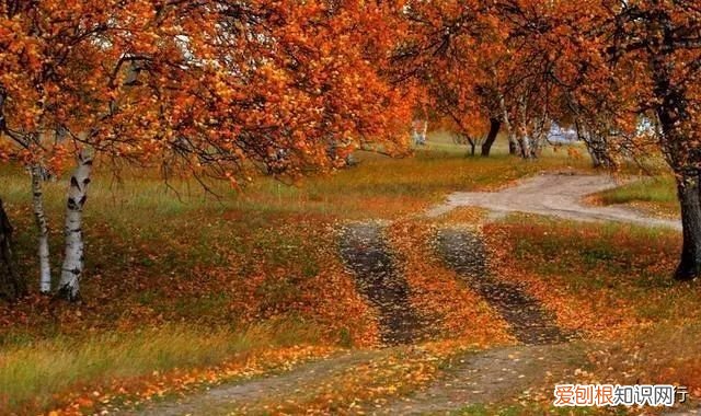 十五首写秋天的古诗 描写秋天景色的诗