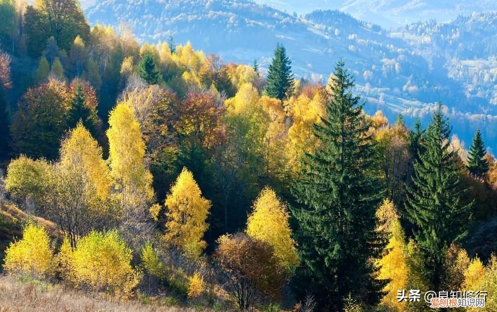 十五首写秋天的古诗 描写秋天景色的诗