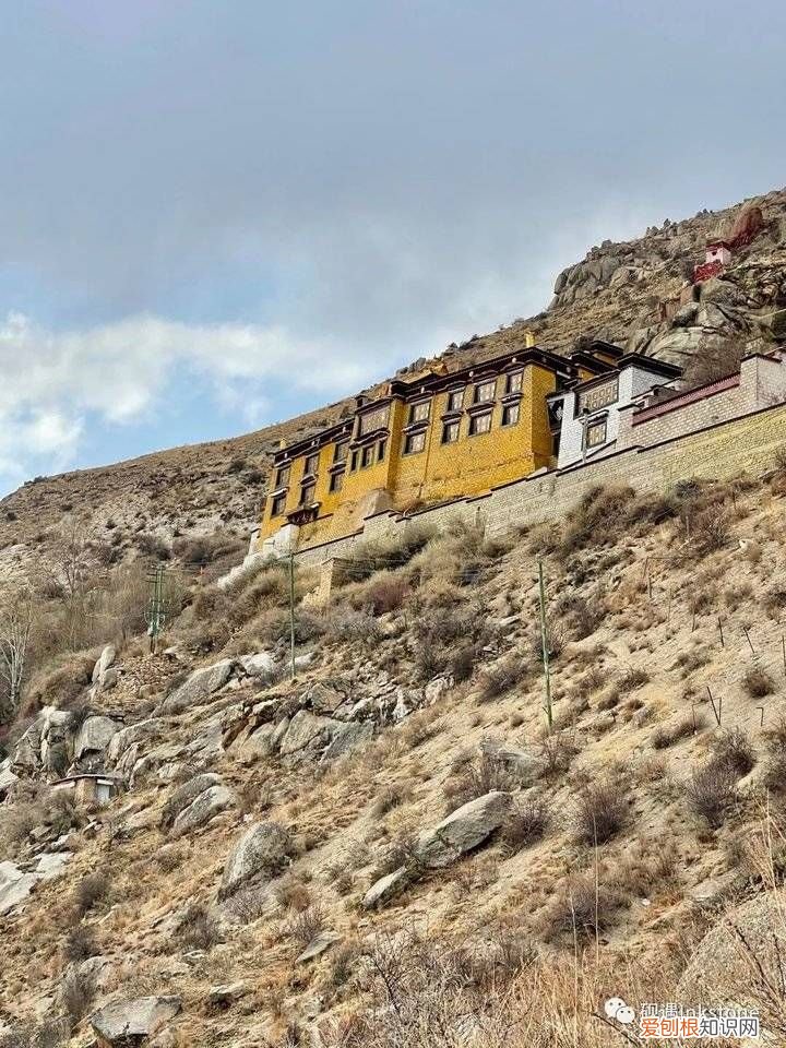 谷雨｜前世的花间一壶酥油茶 请喝一杯酥油茶